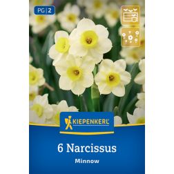 Kiepenkerl Narcissus Minnow nárcisz virághagyma 6 db