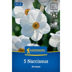 Kiepenkerl Narcissus Actaea nárcisz virághagyma 5 db