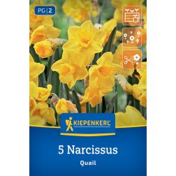 Kiepenkerl Narcissus Quail nárcisz virághagyma 5 db