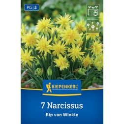 Kiepenkerl Narcissus Rip van Winkle nárcisz virághagyma 7 db