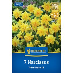 Kiepenkerl Narcissus Tête Bouclé nárcisz virághagyma 7 db