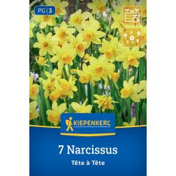 Kiepenkerl Narcissus Tête à Tête nárcisz virághagyma 7 db
