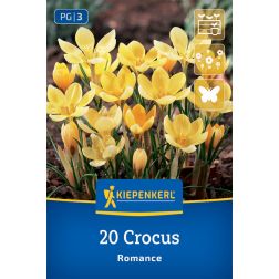 Kiepenkerl Crocus Romance krókusz virághagyma 20 db