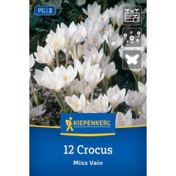 Kiepenkerl Crocus Miss Vain krókusz virághagyma 12 db
