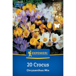 Kiepenkerl Crocus Botanischer Mix kr&oacute;kusz vir&aacute;ghagyma &ouml;ssze&aacute;ll&iacute;t&aacute;s 20 db
