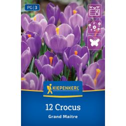 Kiepenkerl Crocus Grand Maitre kr&oacute;kusz vir&aacute;ghagyma 12 db