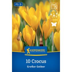 Kiepenkerl Crocus Gro&szlig;er Gelber kr&oacute;kusz vir&aacute;ghagyma 10 db