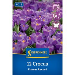 Kiepenkerl Crocus Flower Record kr&oacute;kusz vir&aacute;ghagyma 12 db