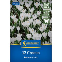 Kiepenkerl Crocus Jeanne d`Arc kr&oacute;kusz vir&aacute;ghagyma 12 db