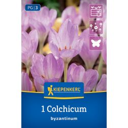 Kiepenkerl Colchicum byzantinum kikerics virághagyma 1 db