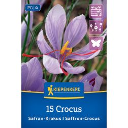 Kiepenkerl Crocus sativus kr&oacute;kusz vir&aacute;ghagyma 15 db
