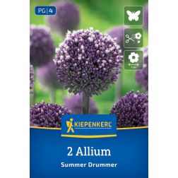 Kiepenkerl Allium Summer Drummer díszhagyma virághagyma 2 db