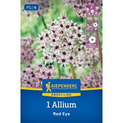Kiepenkerl Allium Red Eye d&iacute;szhagyma vir&aacute;ghagyma 1 db