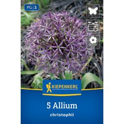 Kiepenkerl Allium christophii díszhagyma virághagyma 5 db