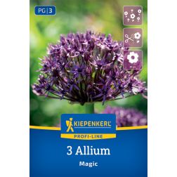 Kiepenkerl Allium Magic d&iacute;szhagyma vir&aacute;ghagyma 3 db