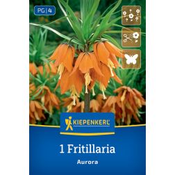 Kiepenkerl Fritillaria Aurora császárkorona virághagyma 1 db