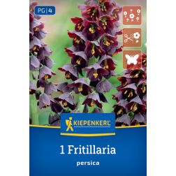 Kiepenkerl Fritillaria persica császárkorona virághagyma 1 db