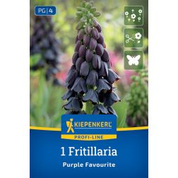 Kiepenkerl Fritillaria Purple Favourite cs&aacute;sz&aacute;rkorona vir&aacute;ghagyma 1 db