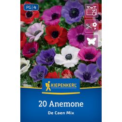 Kiepenkerl Anemone de Caen szellőrózsa virághagyma 20 db