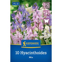 Kiepenkerl Hyacinthoides Mix kékcsengő virághagyma összeállítás 10 db