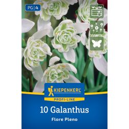Kiepenkerl Galanthus Flore Pleno hóvirág virághagyma 10 db