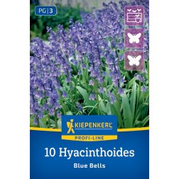 Kiepenkerl Hyacinthoides Blue Bells kékcsengő virághagyma 10 db