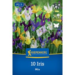Kiepenkerl Iris Mix írisz virághagyma összeállítás 10 db