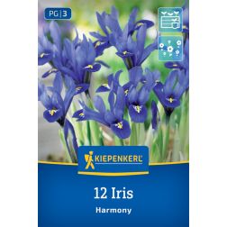Kiepenkerl Iris ret. Harmony írisz virághagyma 12 db