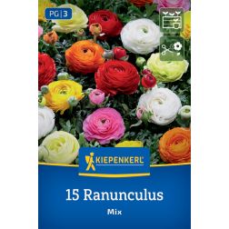 Kiepenkerl Ranunculus Mix boglárka virághagyma összeállítás 15 db