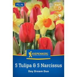 Kiepenkerl Day Dream Duo vir&aacute;ghagyma &ouml;ssze&aacute;ll&iacute;t&aacute;s 10 db