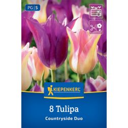 Kiepenkerl Tulipa Countryside Duo tulipán virághagyma 8 db