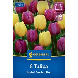 Kiepenkerl Tulipa Joyful Garden Duo tulipán virághagyma 8 db