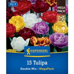 Kiepenkerl Tulipa Double Tulip Mix tulipán virághagyma összeállítás 15 db
