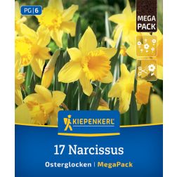 Kiepenkerl Narcissus Osterglocken nárcisz virághagyma 17 db