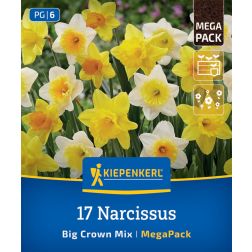 Kiepenkerl Narcissus Big Crown Mix nárcisz virághagyma összeállítás 17 db