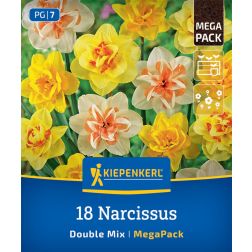 Kiepenkerl Narcissus Double Mix nárcisz virághagyma összeállítás 18 db