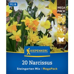Kiepenkerl Narcissus Steingarten Mix nárcisz virághagyma összeállítás 20 db
