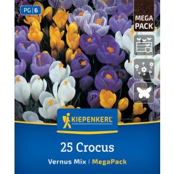 Kiepenkerl Crocus Vernus Mix kr&oacute;kusz vir&aacute;ghagyma &ouml;ssze&aacute;ll&iacute;t&aacute;s 25 db