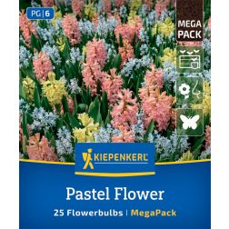 Kiepenkerl Pastel Flower vir&aacute;ghagyma &ouml;ssze&aacute;ll&iacute;t&aacute;s 25 db