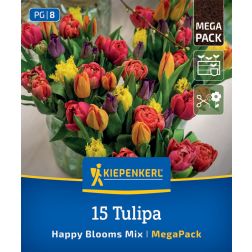 Kiepenkerl Tulipa Happy Bloom Mix tulipán virághagyma összeállítás 15 db