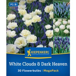 Kiepenkerl White Cloud & Dark Heaven Mix vir&aacute;ghagyma &ouml;ssze&aacute;ll&iacute;t&aacute;s 30 db