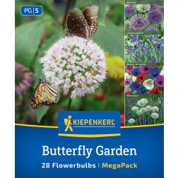 Kiepenkerl Butterfly Garden Mix vir&aacute;ghagyma &ouml;ssze&aacute;ll&iacute;t&aacute;s 28 db