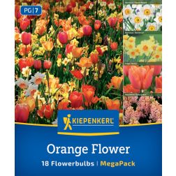 Kiepenkerl Orange Flower vir&aacute;ghagyma &ouml;ssze&aacute;ll&iacute;t&aacute;s 18 db