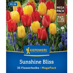 Kiepenkerl Sunshine Bliss Mix vir&aacute;ghagyma &ouml;ssze&aacute;ll&iacute;t&aacute;s 35 db