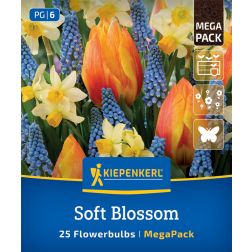 Kiepenkerl Soft Blossom Mix vir&aacute;ghagyma &ouml;ssze&aacute;ll&iacute;t&aacute;s 25 db