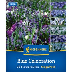 Kiepenkerl Blue Celebration Mix vir&aacute;ghagyma &ouml;ssze&aacute;ll&iacute;t&aacute;s 50 db