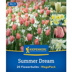 Kiepenkerl Summer Dream Mix vir&aacute;ghagyma &ouml;ssze&aacute;ll&iacute;t&aacute;s 20 db