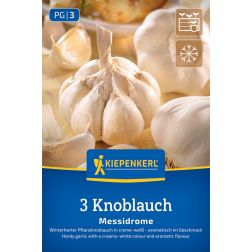Kiepenkerl Messidrome fokhagyma fehérhéjú 3 db