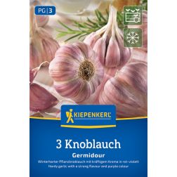 Kiepenkerl Germidour fokhagyma lilahéjú 3 db