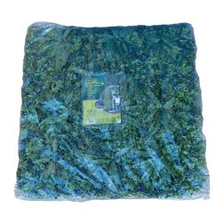 Nortene VERTICAL JUNGLE z&ouml;ldfal a dzsungel n&ouml;v&eacute;nyeivel